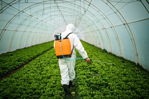 Pest Control for Restaurants in Redmond, OR