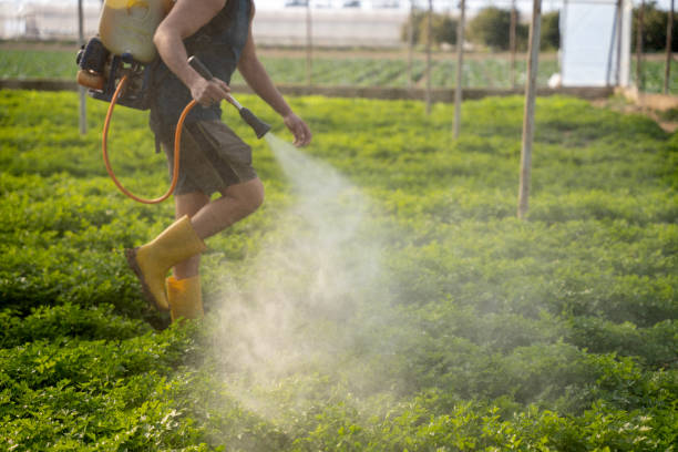 Best Mosquito Control Services  in Redmond, OR
