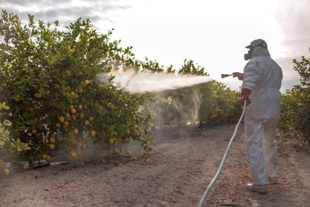 Best Pest Control for Restaurants  in Redmond, OR