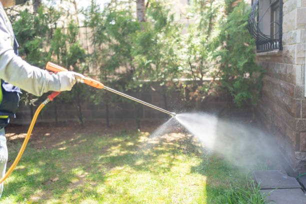 Best Flea Control Services  in Redmond, OR