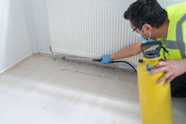 Best Residential Pest Control  in Redmond, OR