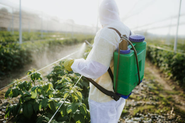 Best Pest Control Near Me in Redmond, OR